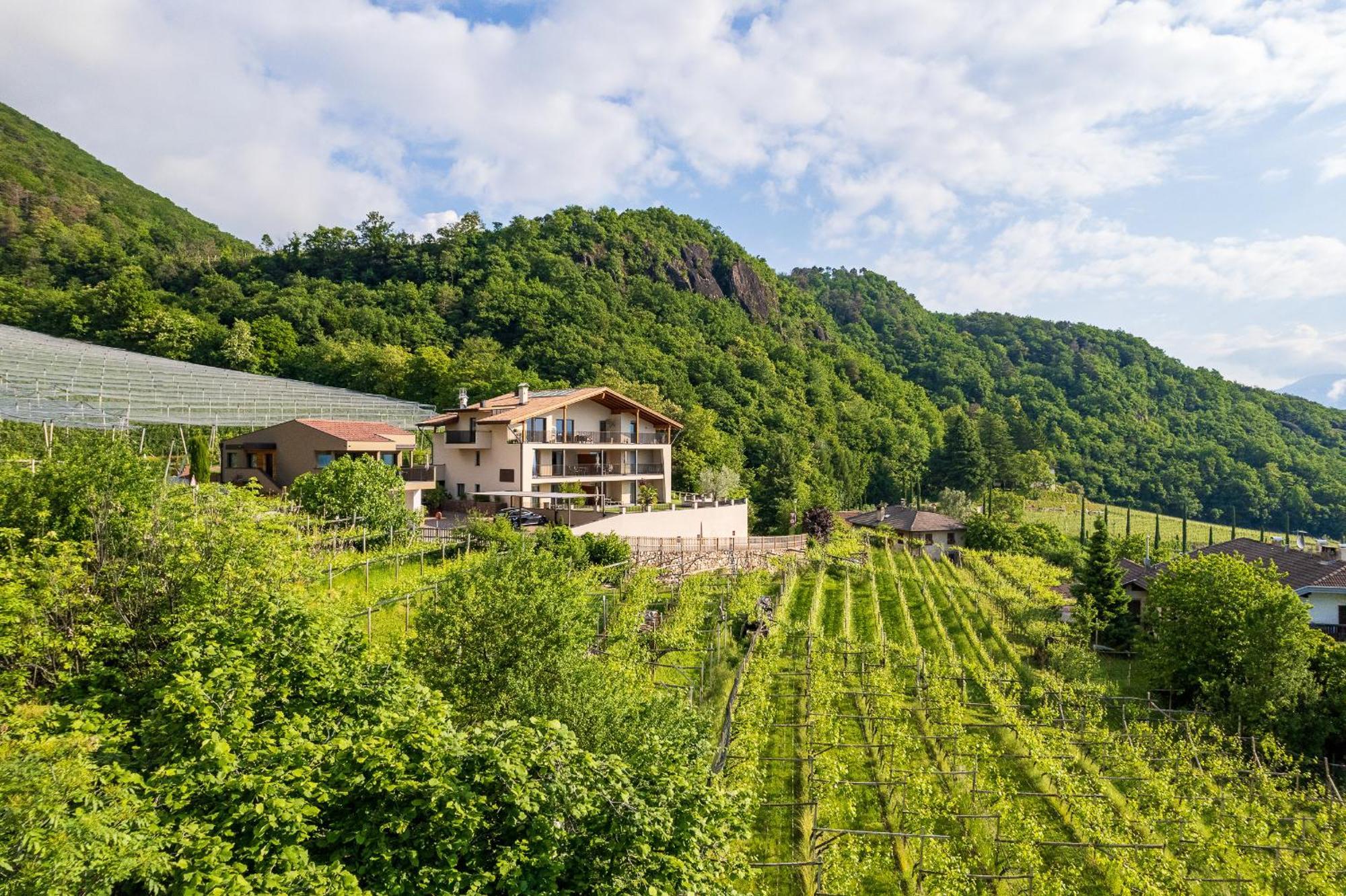 Apfelhof Appartement Tramin an der Weinstraße Buitenkant foto